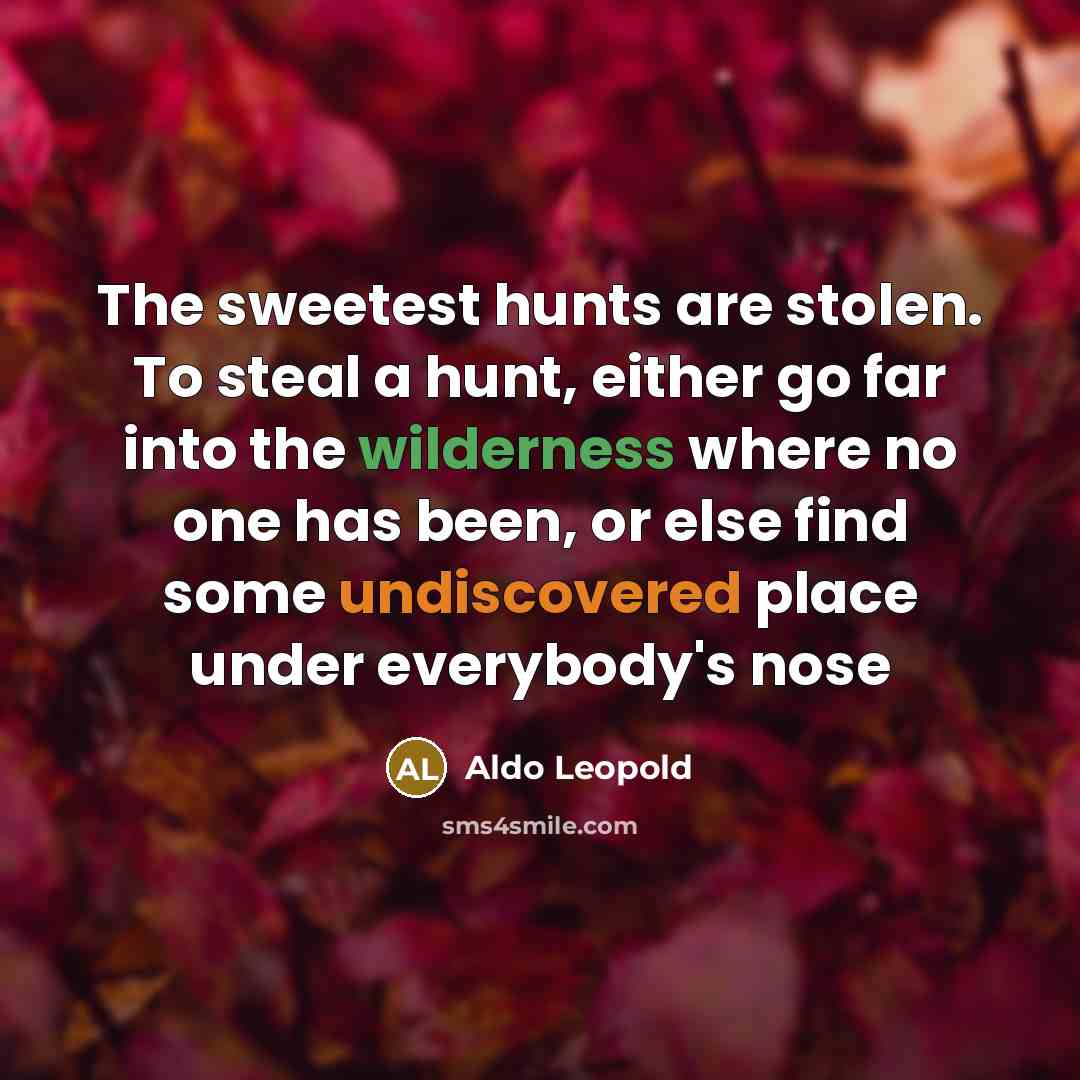 “The sweetest hunts are stolen. To steal a hunt, either…” quote by Aldo Leopold