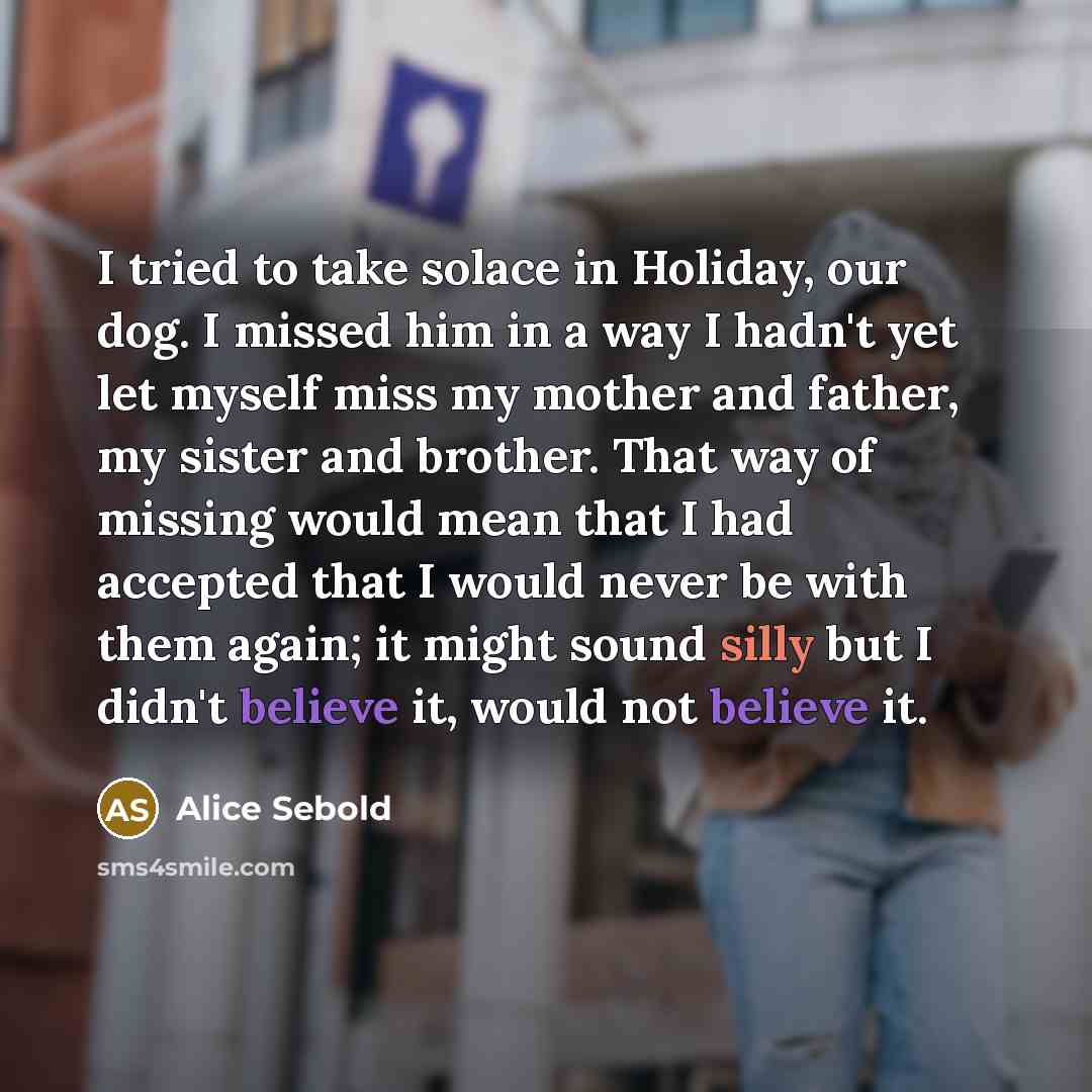 “I tried to take solace in Holiday, our dog. I…” quote by Alice Sebold
