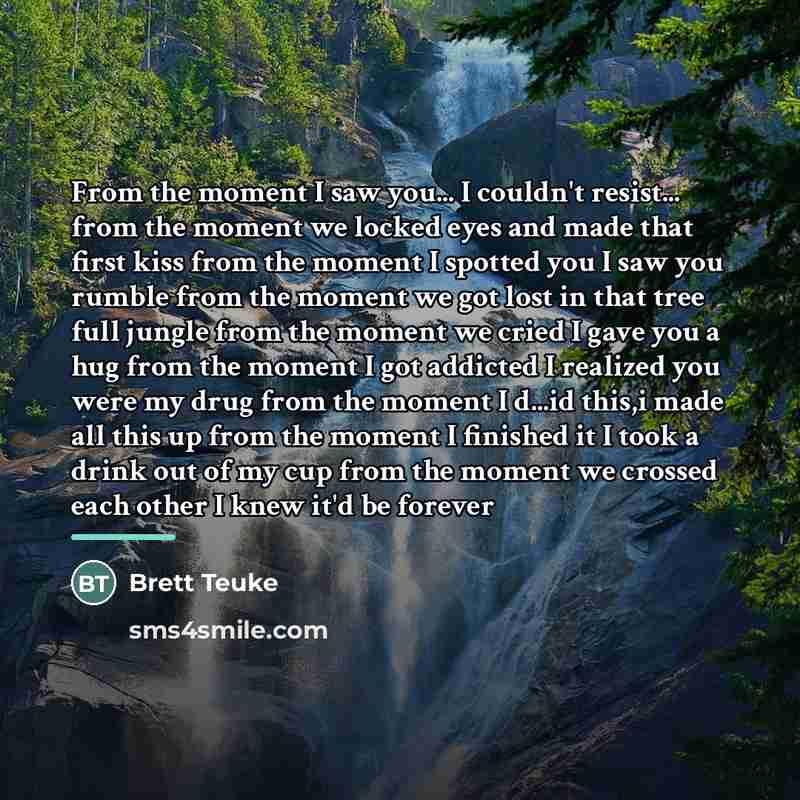 “From the moment I saw you... I couldn't resist... from…” quote by Brett Teuke