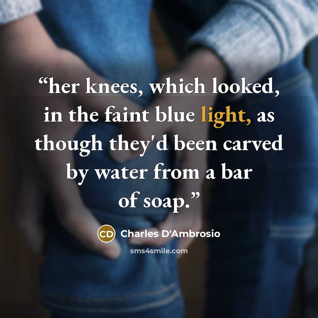 “her knees, which looked, in the faint blue light, as though they'd been carved by water from a bar of soap.” quote by Charles D'Ambrosio
