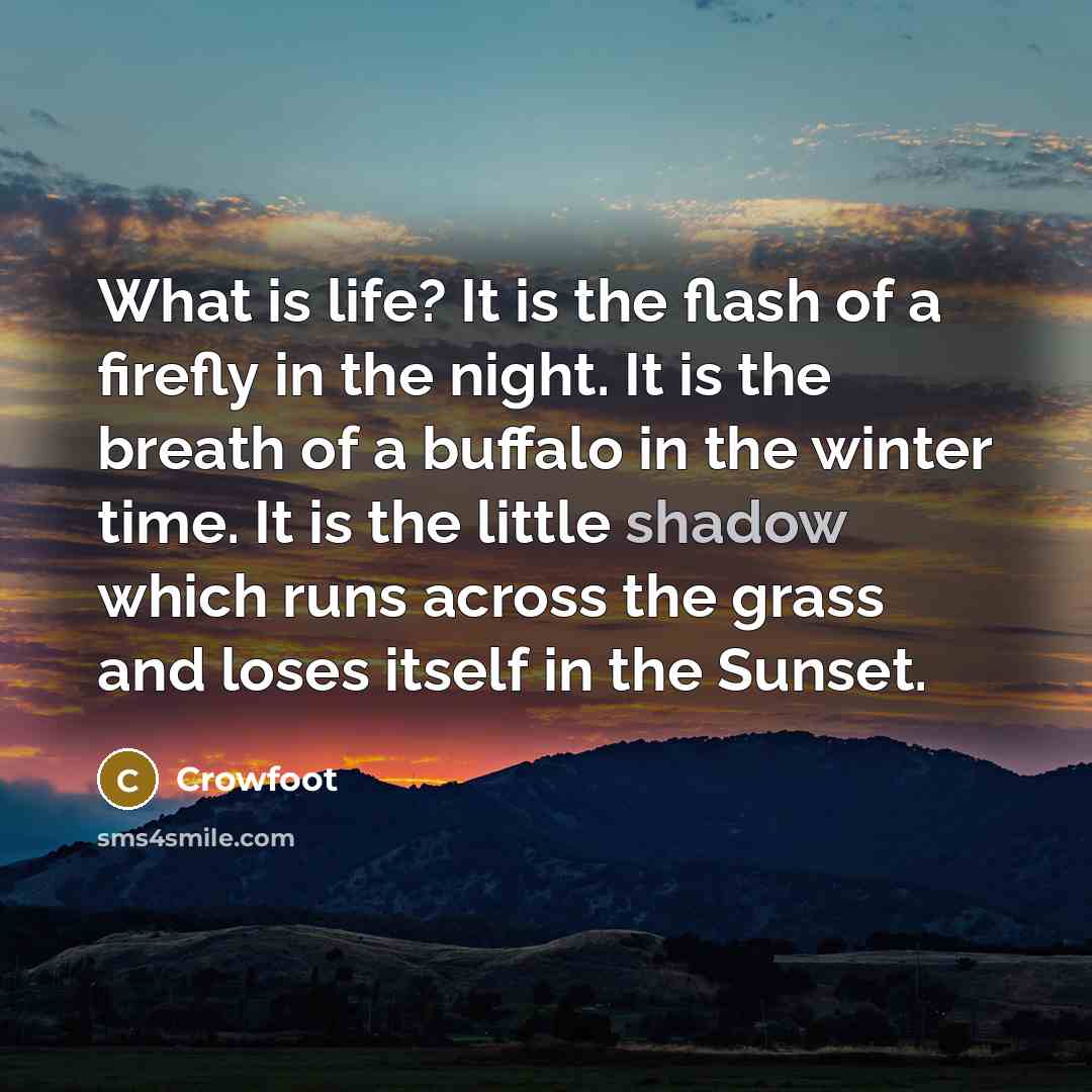 “What is life? It is the flash of a firefly…” quote by Crowfoot