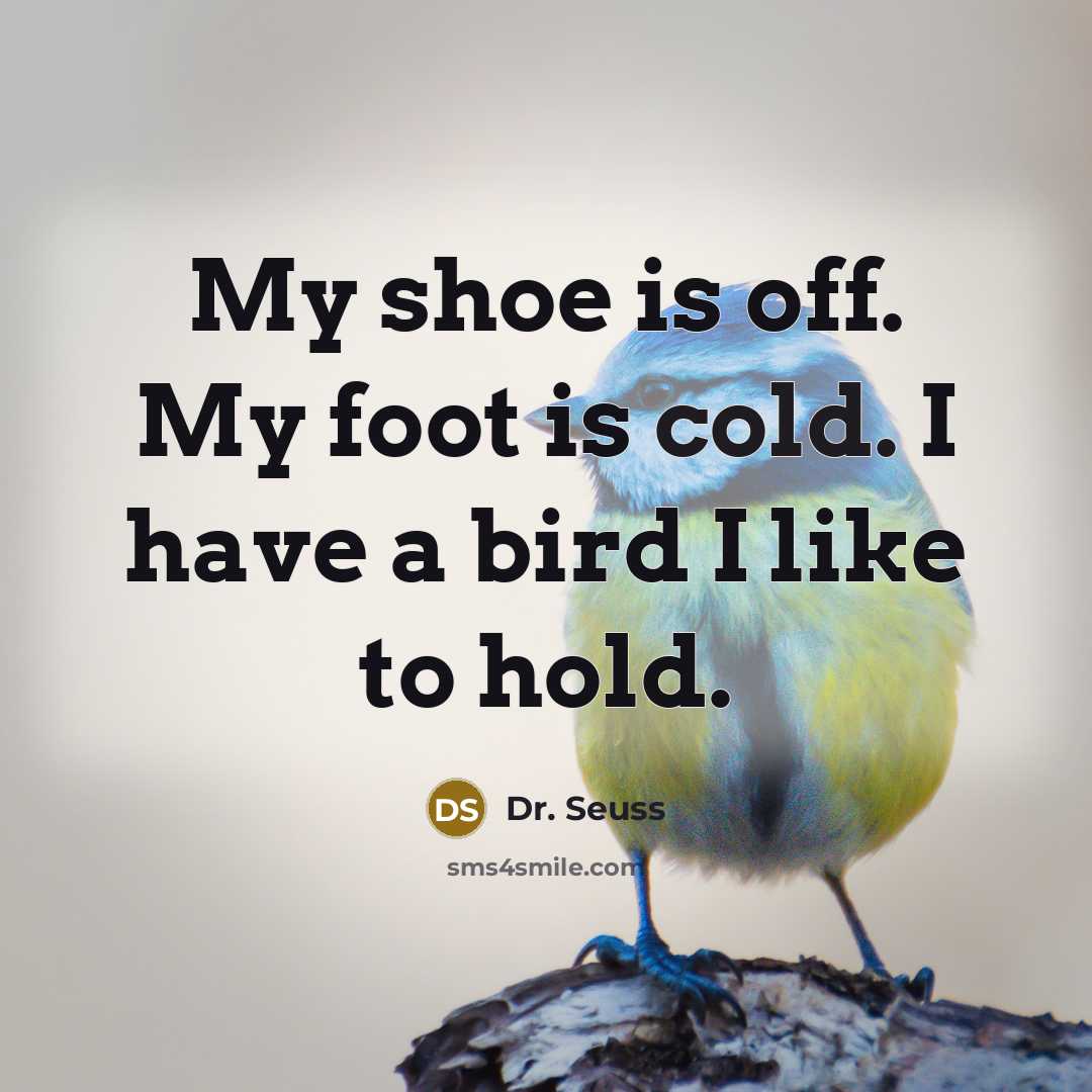 “My shoe is off. My foot is cold. I have…” quote by Dr. Seuss