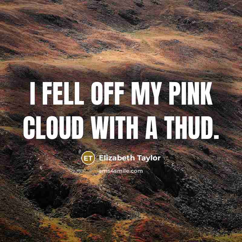 “I fell off my pink cloud with a thud.” quote by Elizabeth Taylor