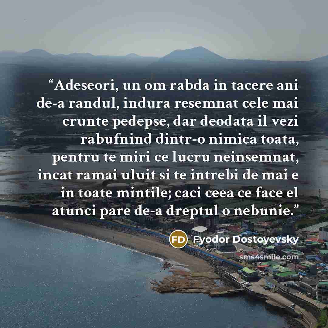 “Adeseori, un om rabda in tacere ani de-a randul, indura resemnat cele mai crunte pedepse, dar deodata il vezi rabufnind dintr-o nimica toata, pentru te miri ce lucru neinsemnat, incat ramai uluit si te intrebi de mai e in toate mintile; caci ceea ce face el atunci pare de-a dreptul o nebunie.” quote by Fyodor Dostoyevsky