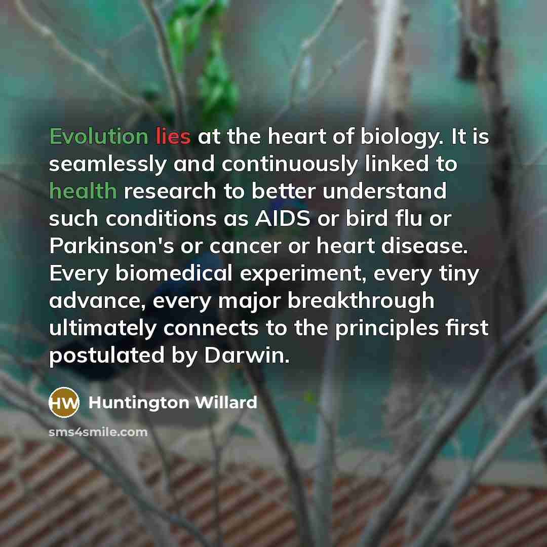 “Evolution lies at the heart of biology. It is seamlessly and continuously linked to health research to better understand such conditions as AIDS or bird flu or Parkinson's or cancer or heart disease. Every biomedical experiment, every tiny advance, every major breakthrough ultimately connects to…” quote by Huntington Willard