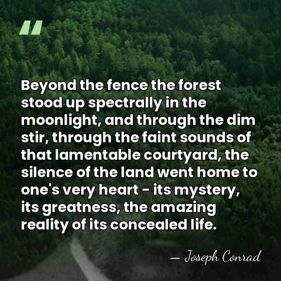 Beyond the fence the forest stood up spectrally in the moonlight, and&hellip; - Joseph Conrad