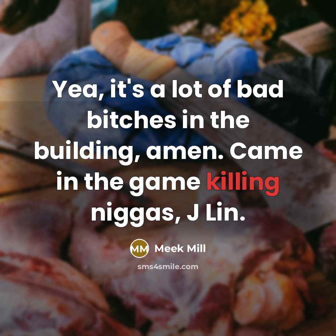 “Yea, it's a lot of bad bitches in the building,…” quote by Meek Mill