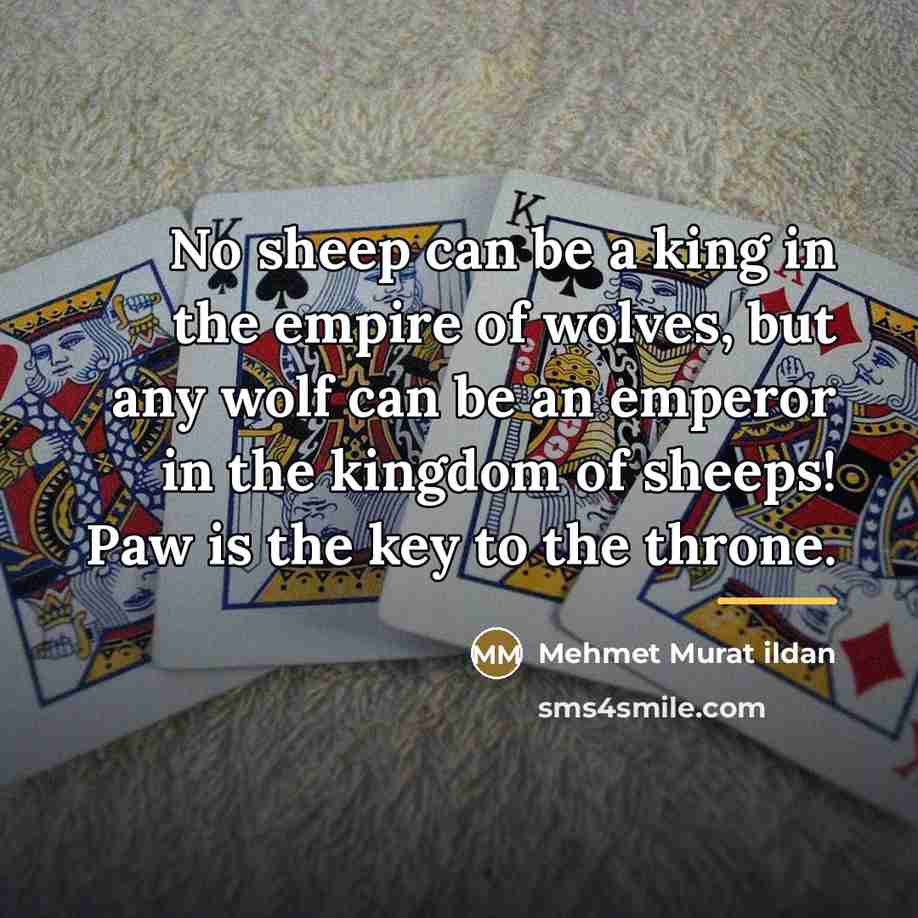 “No sheep can be a king in the empire of…” quote by Mehmet Murat Ildan