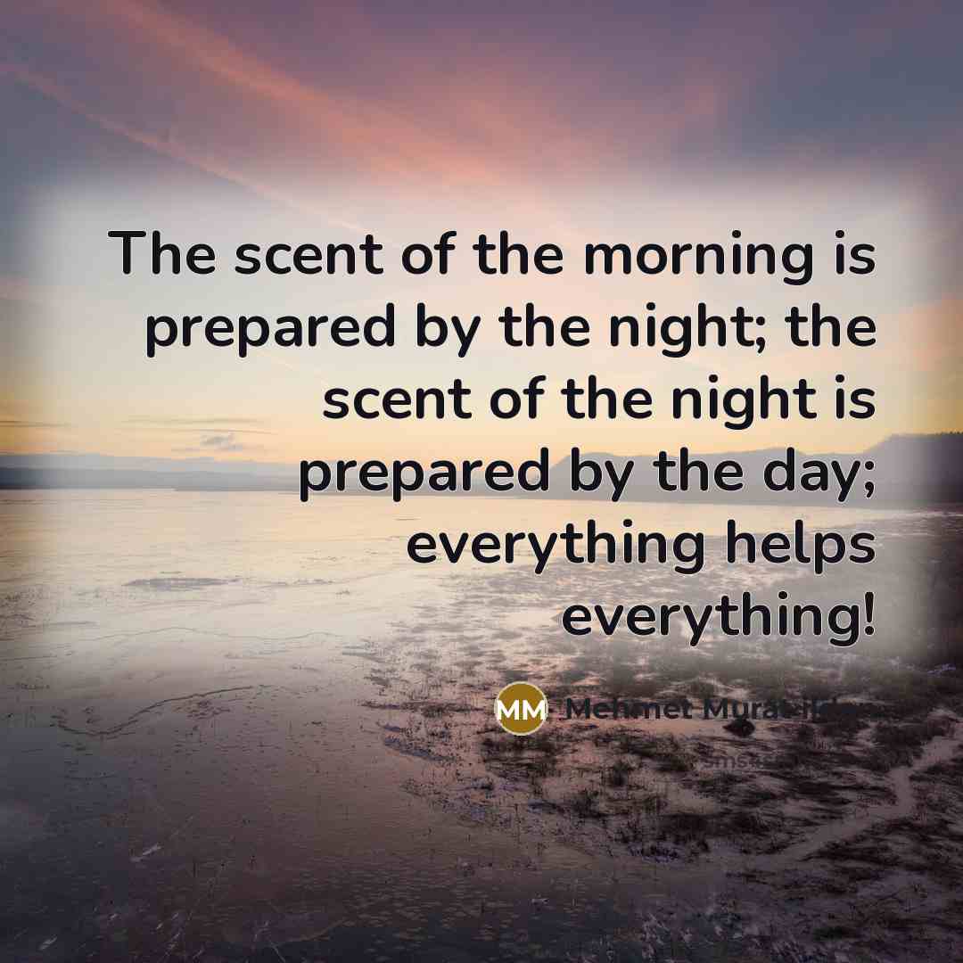 “The scent of the morning is prepared by the night;…” quote by Mehmet Murat Ildan