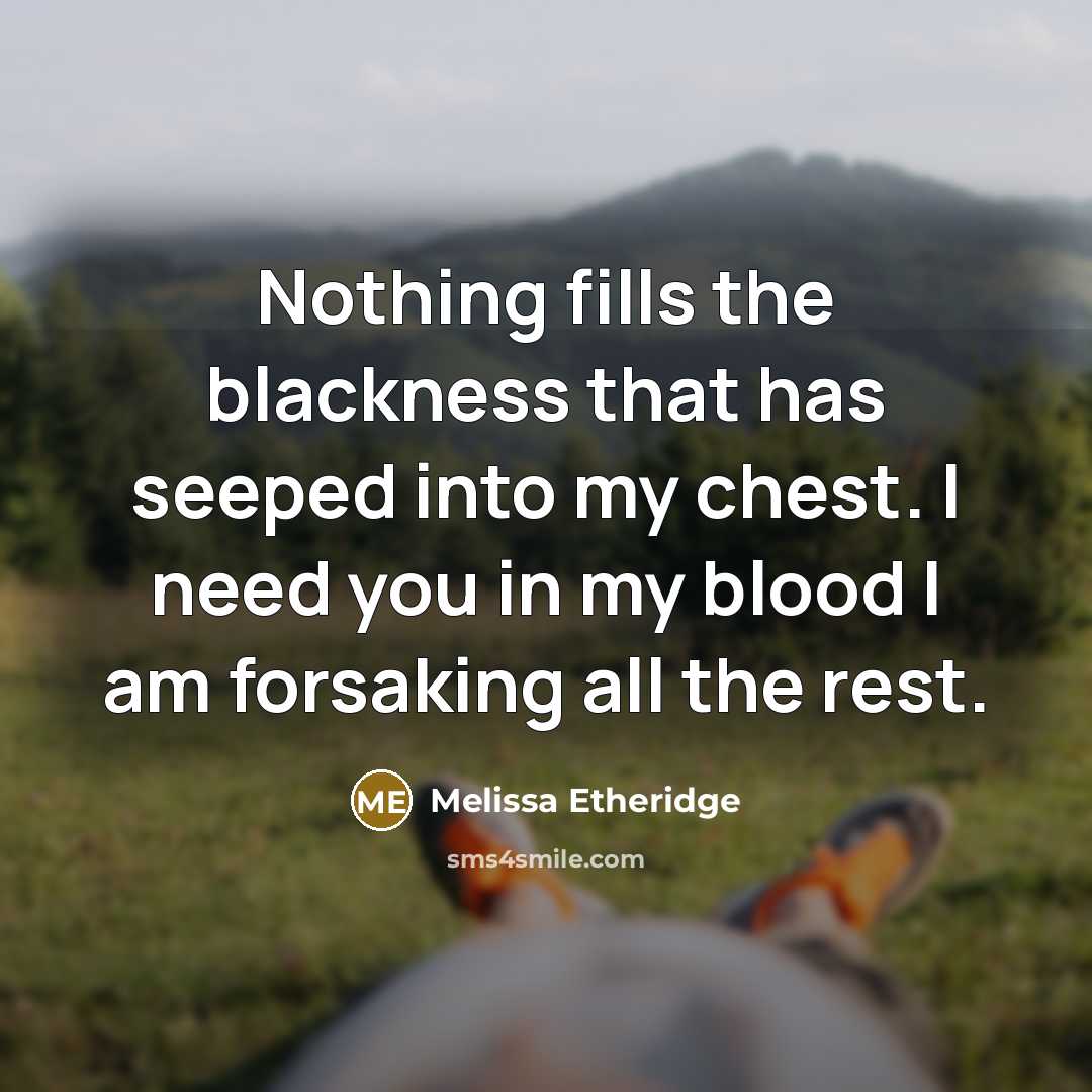“Nothing fills the blackness that has seeped into my chest. I need you in my blood I am forsaking all the rest.” quote by Melissa Etheridge