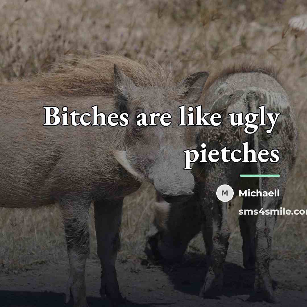“Bitches are like ugly pietches…” quote by Michaell