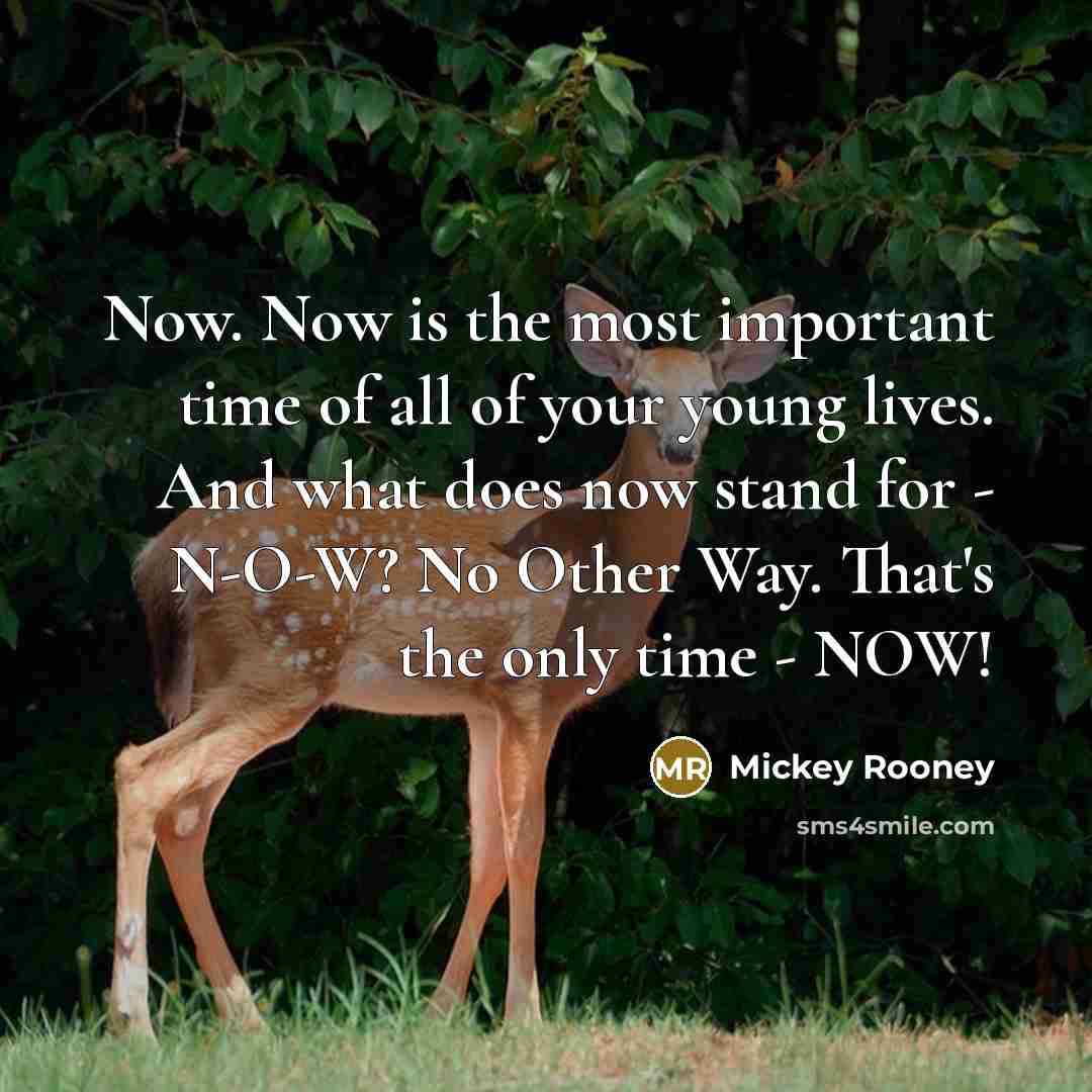 “Now. Now is the most important time of all of…” quote by Mickey Rooney