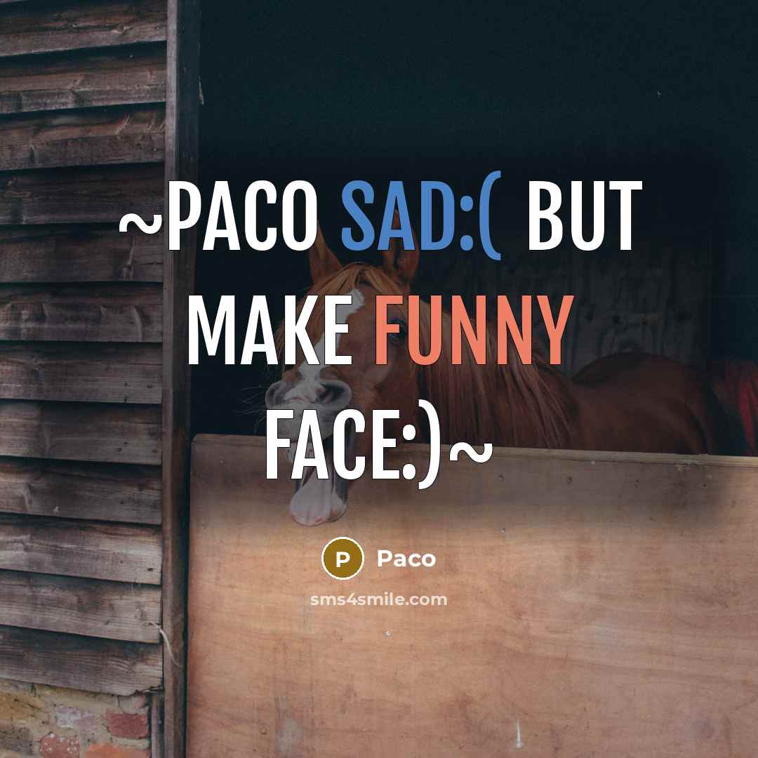 “~Paco sad:( but make funny face:)~” quote by Paco