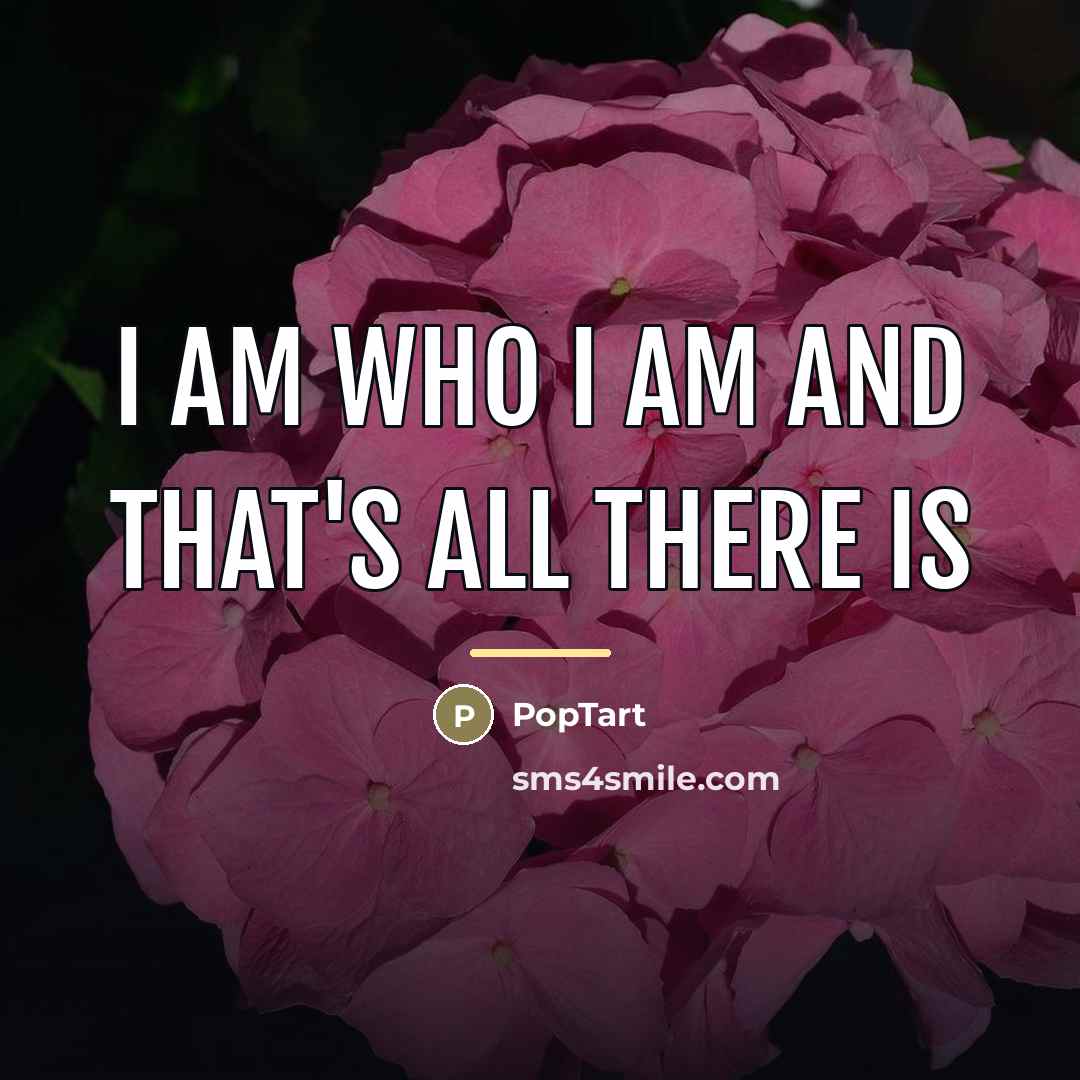 “I am who I am and that's all there is…” quote by PopTart