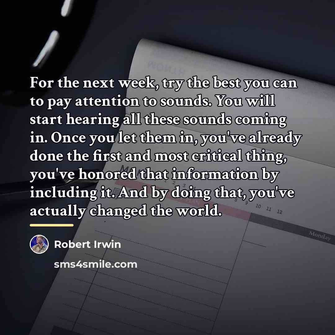 “For the next week, try the best you can to…” quote by Robert Irwin