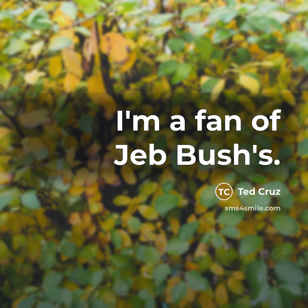 “I'm a fan of Jeb Bush's.…” quote by Ted Cruz