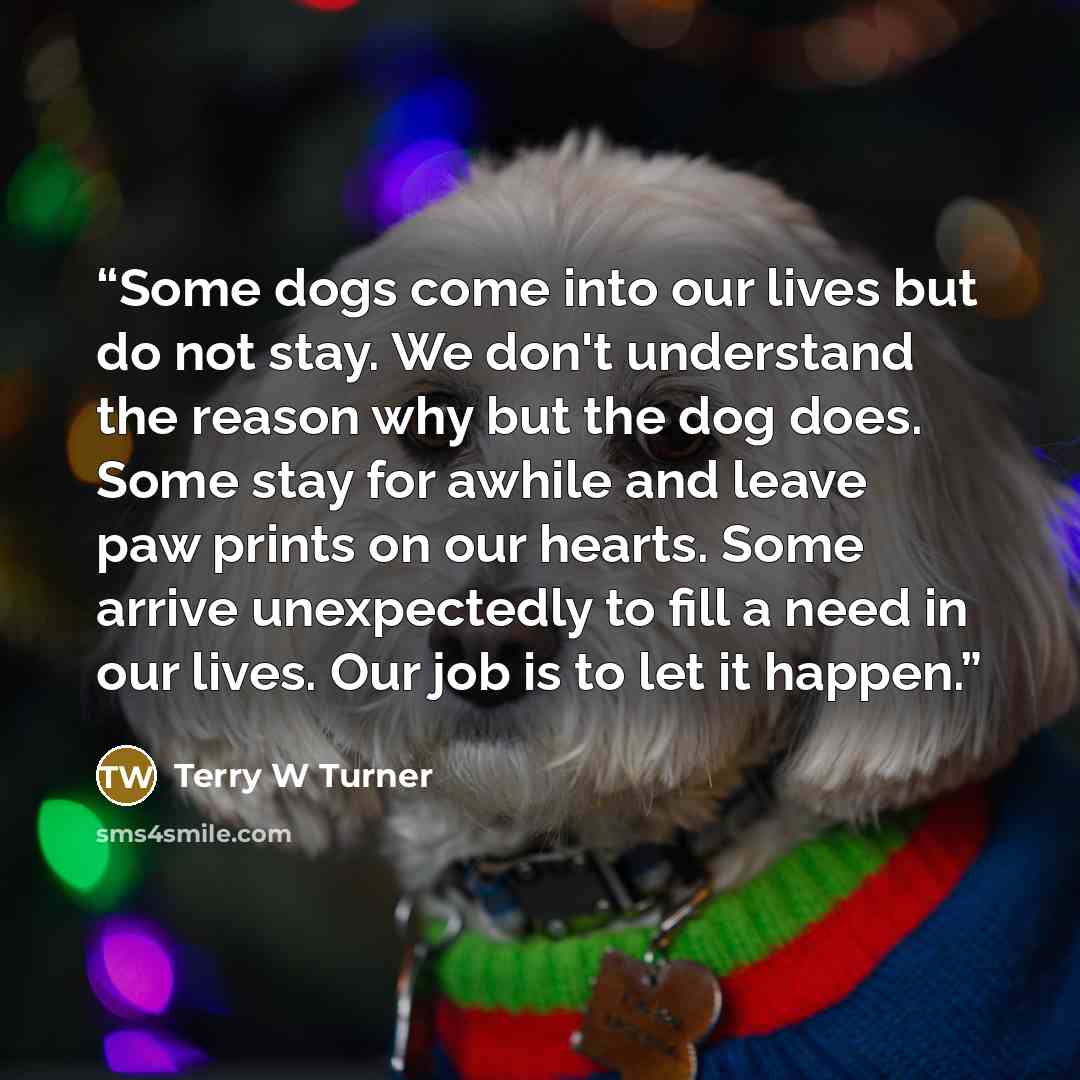 “Some dogs come into our lives but do not stay. We don't understand the reason why but the dog does. Some stay for awhile and leave paw prints on our hearts. Some arrive unexpectedly to fill a need in our lives. Our job is to let it happen.” quote by Terry W Turner