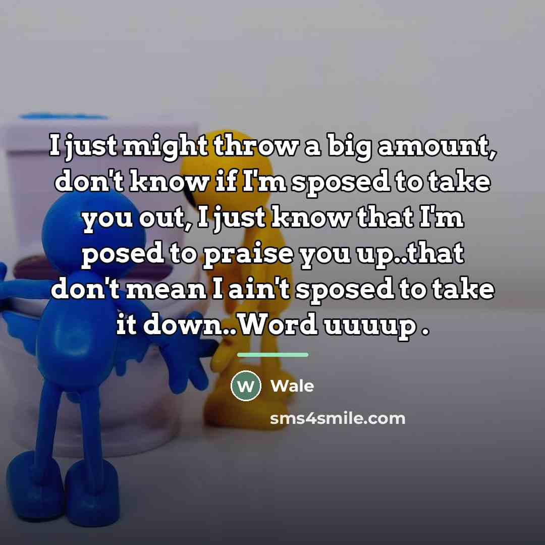 “I just might throw a big amount, don't know if…” quote by Wale