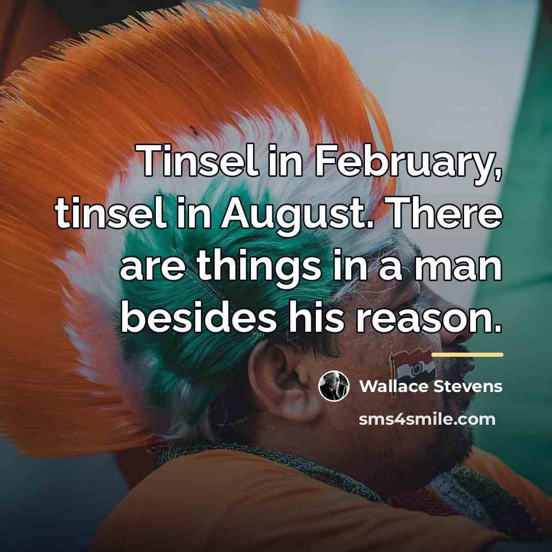 “Tinsel in February, tinsel in August. There are things in…” quote by Wallace Stevens