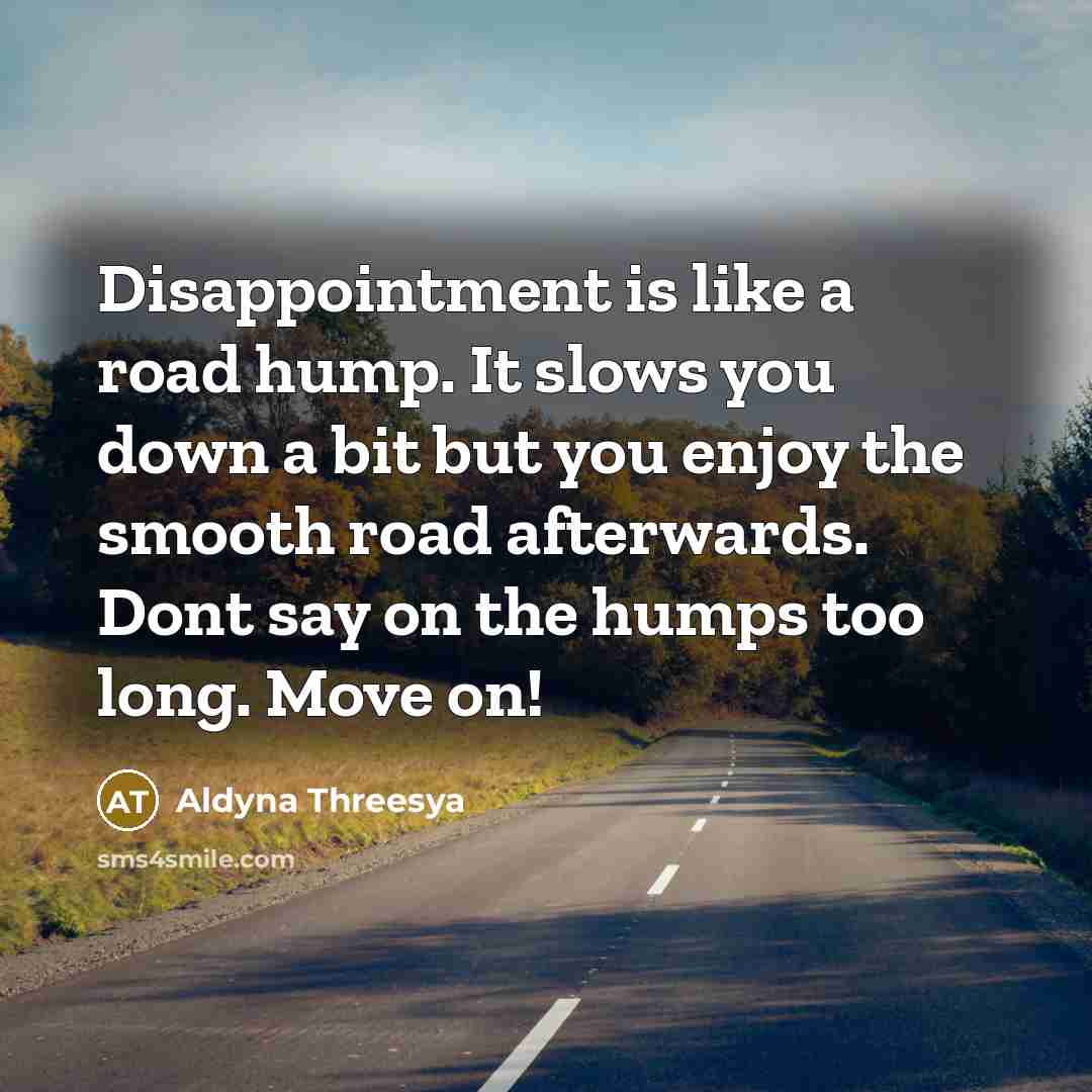 “Disappointment is like a road hump. It slows you down…” quote by Aldyna Threesya