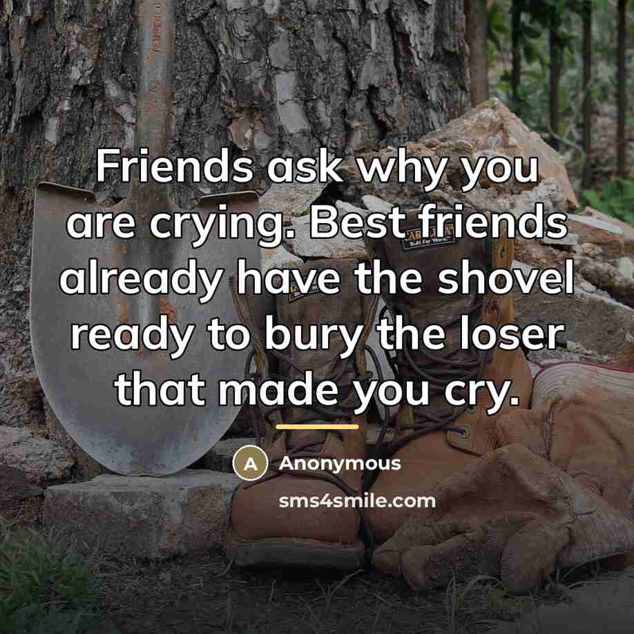 “Friends ask why you are crying. Best friends already have…” quote by Anonymous