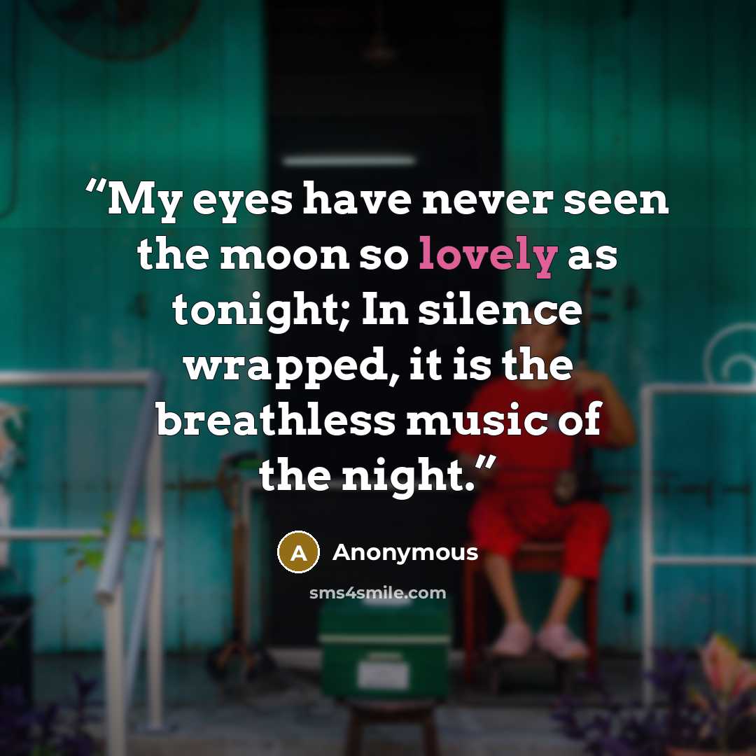 “My eyes have never seen the moon so lovely as tonight; In silence wrapped, it is the breathless music of the night.” quote by Anonymous