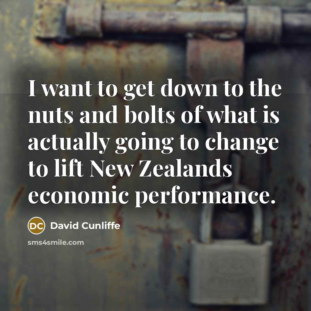 “I want to get down to the nuts and bolts…” quote by David Cunliffe