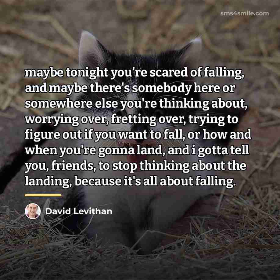 “maybe tonight you're scared of falling, and maybe there's somebody…” quote by David Levithan