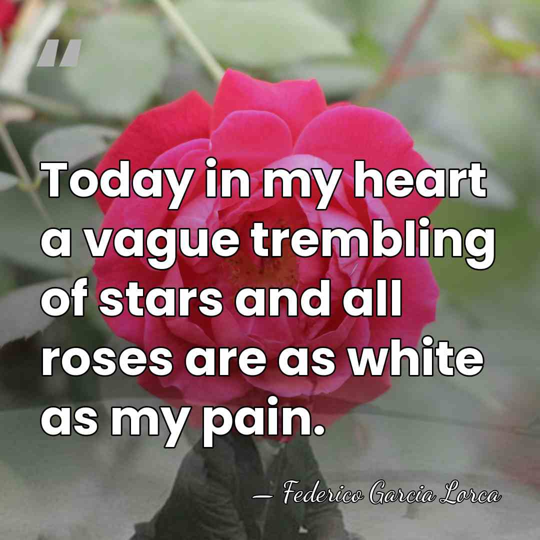 Today in my heart a vague trembling of stars and all roses&hellip; - Federico García Lorca
