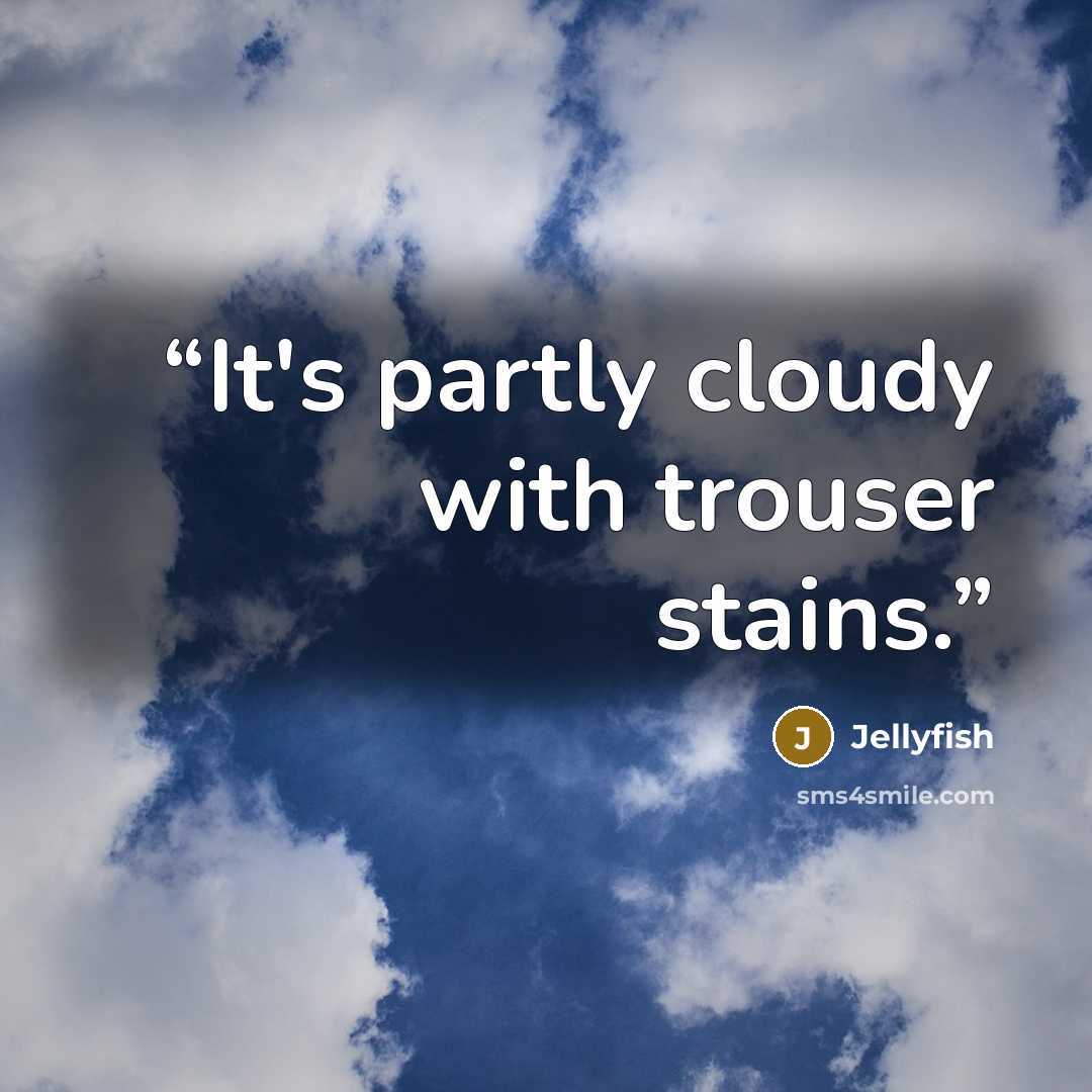 “It's partly cloudy with trouser stains.” quote by Jellyfish