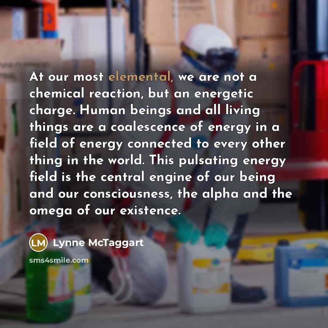 “At our most elemental, we are not a chemical reaction,…” quote by Lynne McTaggart