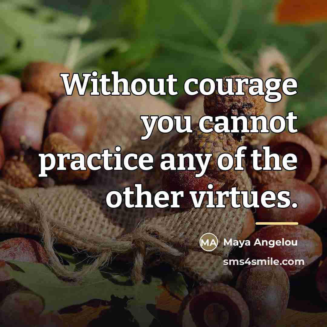 “Without courage you cannot practice any of the other virtues.…” quote by Maya Angelou