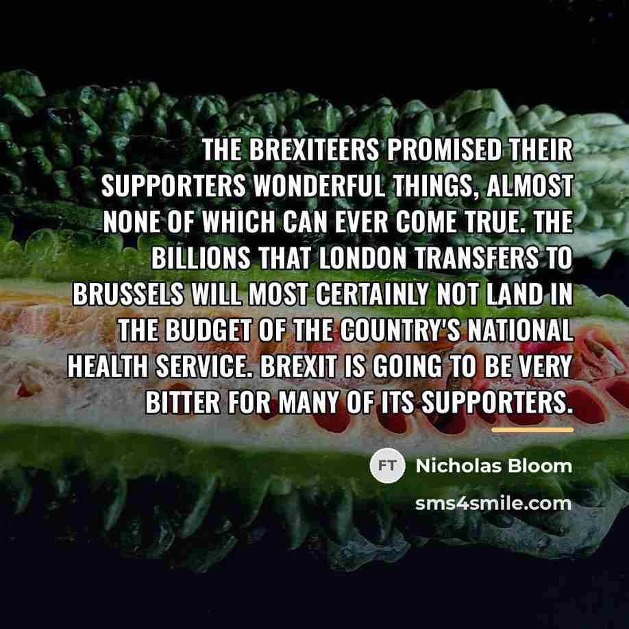 “The Brexiteers promised their supporters wonderful things, almost none of…” quote by Nicholas Bloom