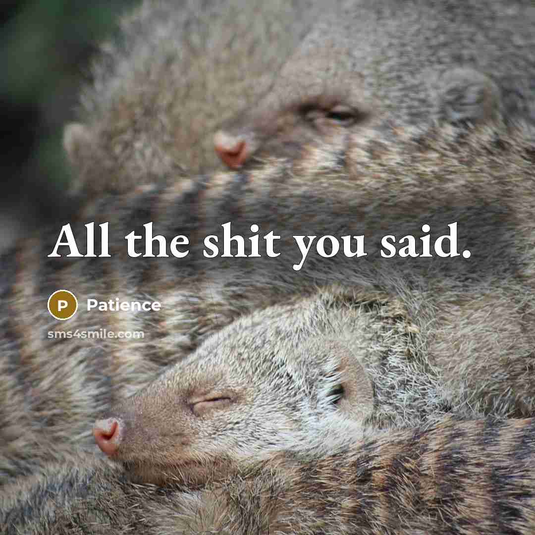 “All the shit you said.…” quote by Patience