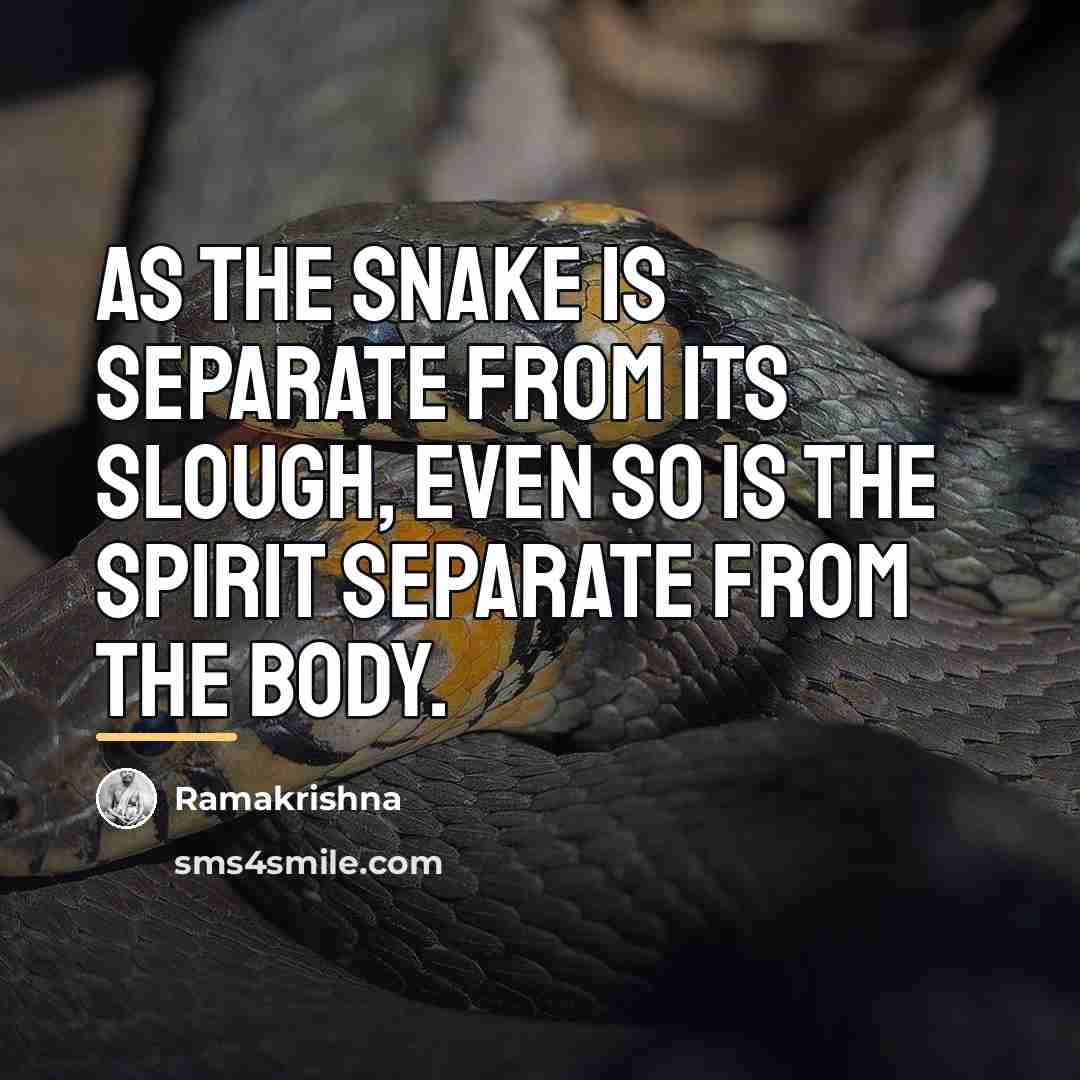 “As the snake is separate from its slough, even so…” quote by Ramakrishna