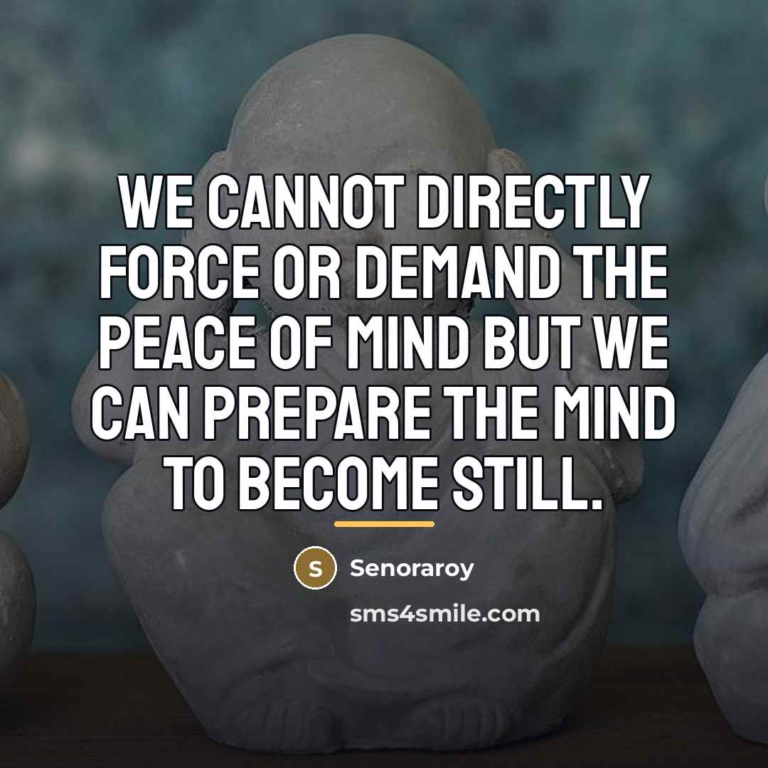 “We cannot directly force or demand the peace of mind…” quote by Senoraroy