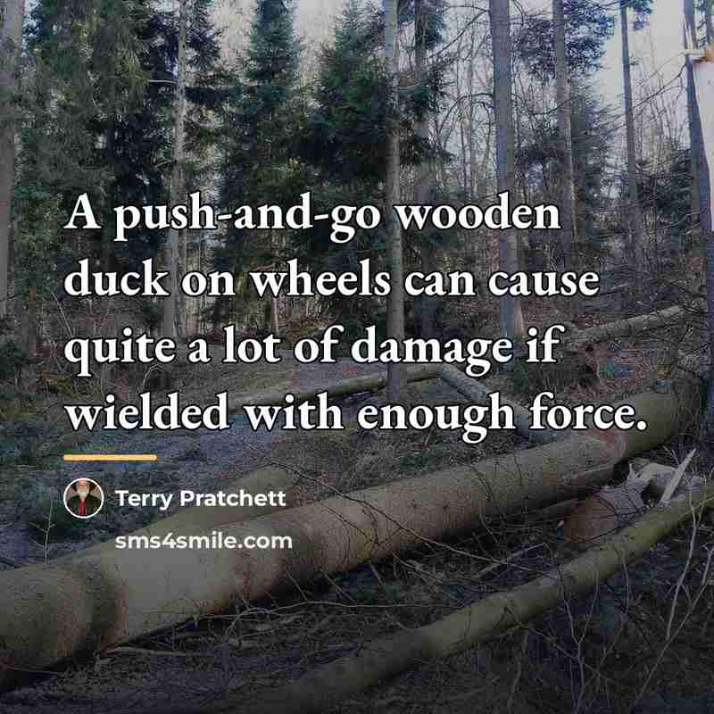 “A push-and-go wooden duck on wheels can cause quite a…” quote by Terry Pratchett