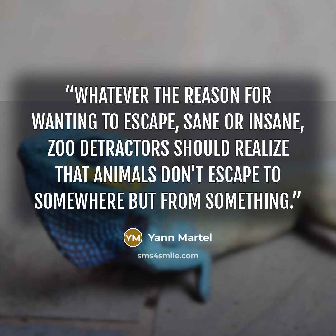 “Whatever the reason for wanting to escape, sane or insane, zoo detractors should realize that animals don't escape to somewhere but from something.” quote by Yann Martel