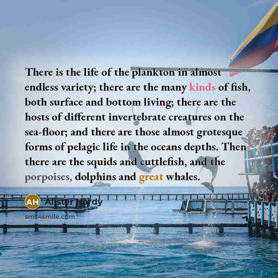 “There is the life of the plankton in almost endless…” quote by Alister Hardy