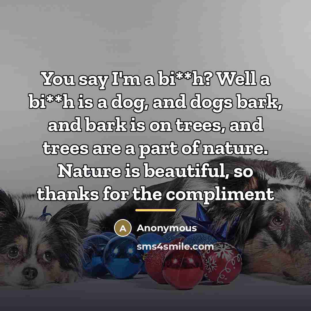 “You say I'm a bi**h? Well a bi**h is a…” quote by Anonymous