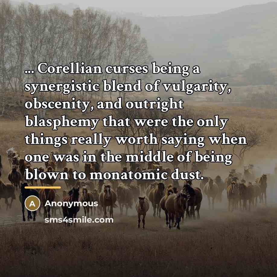 “... Corellian curses being a synergistic blend of vulgarity, obscenity,…” quote by Anonymous