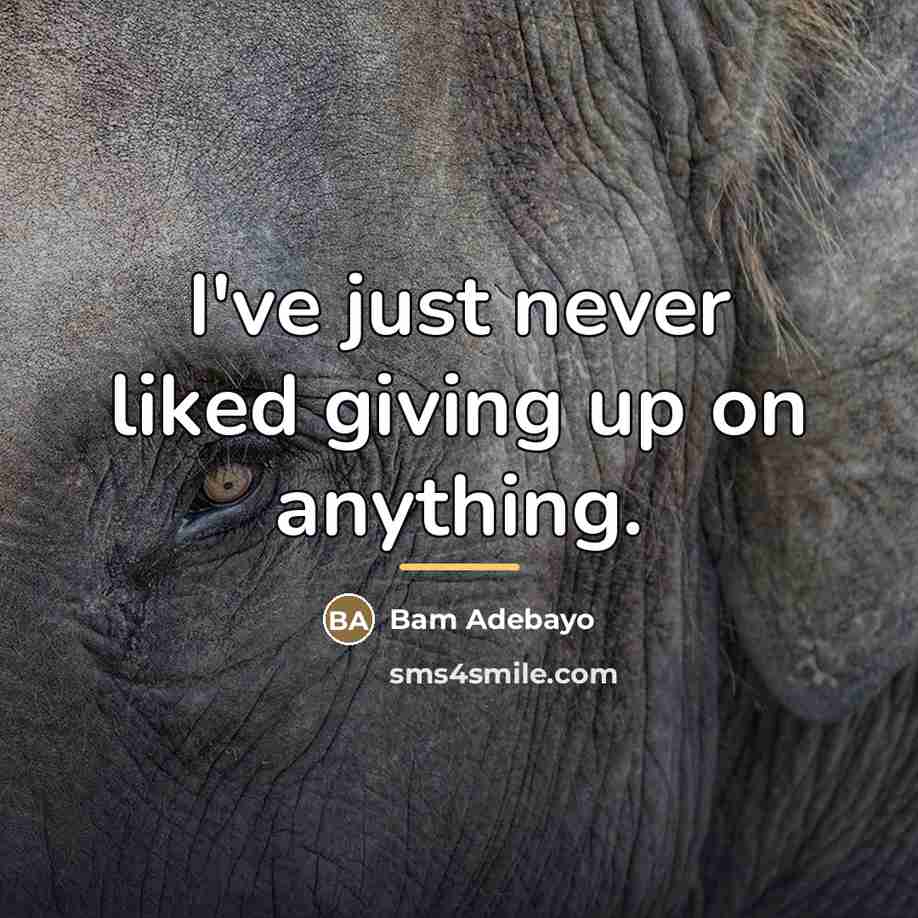 “I've just never liked giving up on anything.…” quote by Bam Adebayo