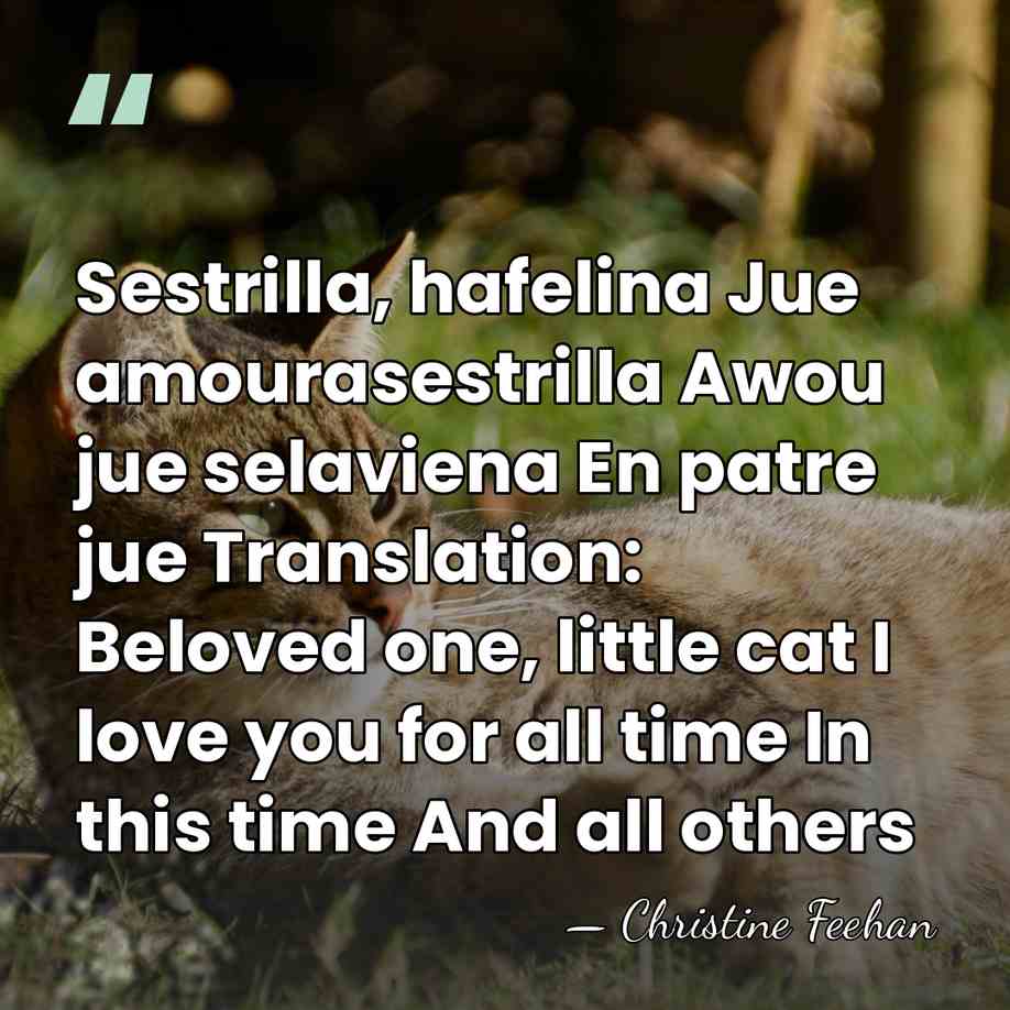 Sestrilla, hafelina Jue amourasestrilla Awou jue selaviena En patre jue Translation: Beloved&hellip; - Christine Feehan