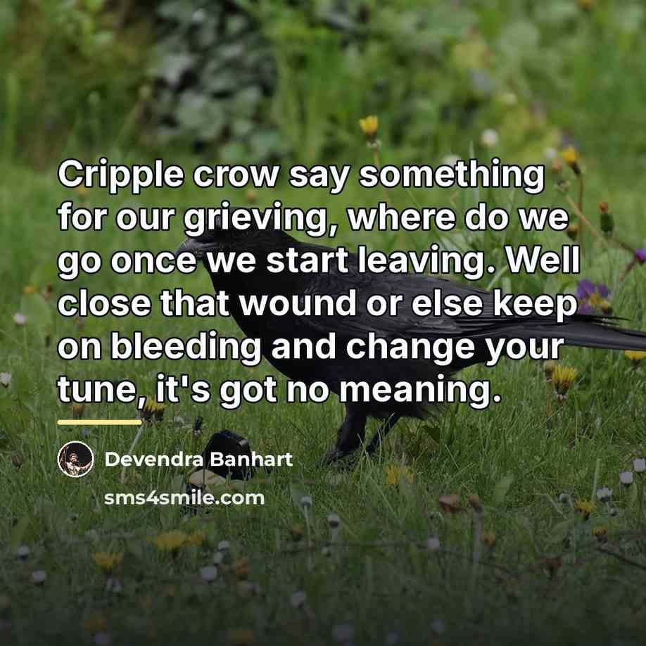 “Cripple crow say something for our grieving, where do we…” quote by Devendra Banhart