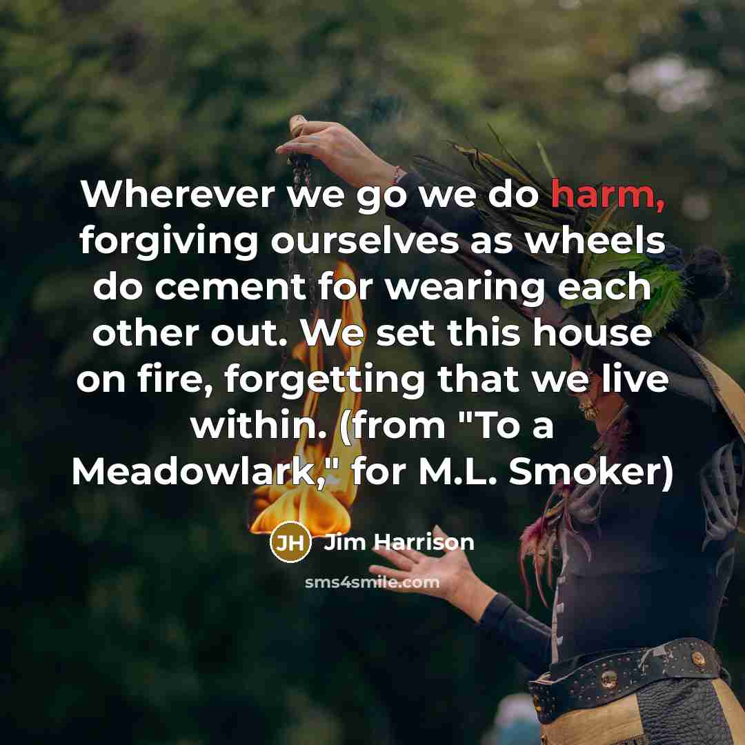 “Wherever we go we do harm, forgiving ourselves as wheels…” quote by Jim Harrison