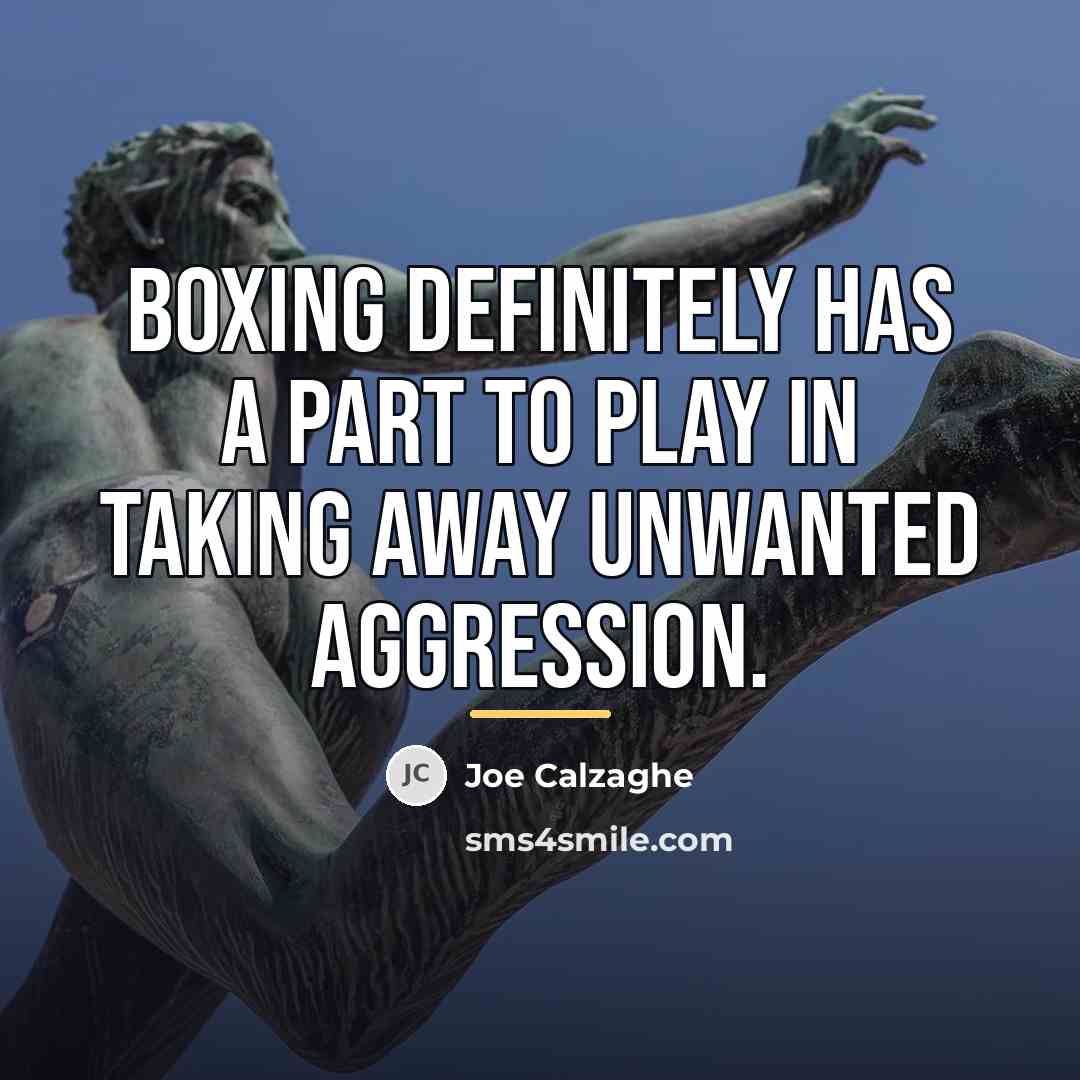 “Boxing definitely has a part to play in taking away…” quote by Joe Calzaghe
