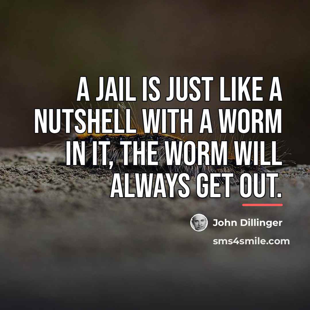 “A jail is just like a nutshell with a worm…” quote by John Dillinger
