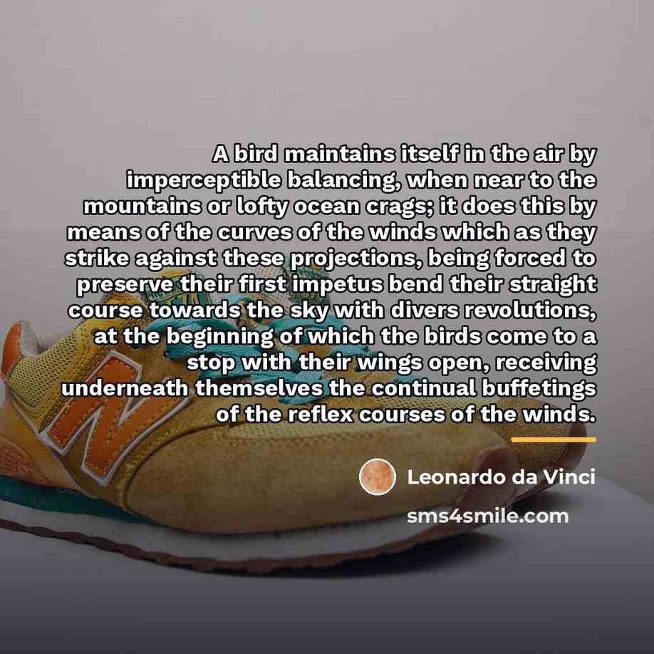 “A bird maintains itself in the air by imperceptible balancing,…” quote by Leonardo da Vinci
