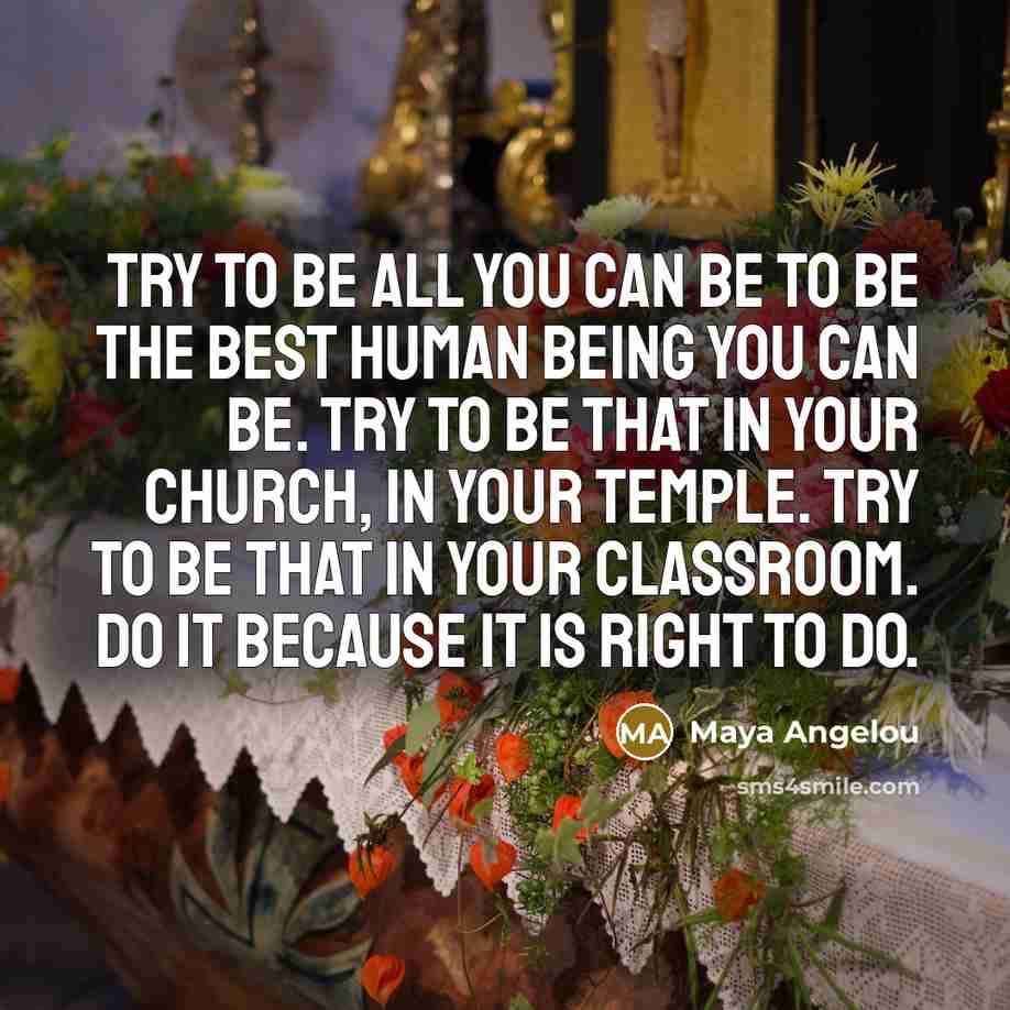 “Try to be all you can be to be the…” quote by Maya Angelou