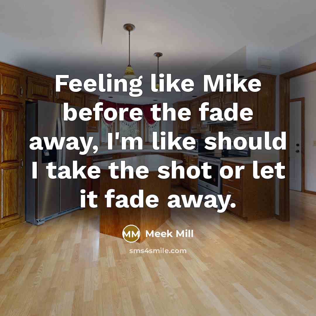 “Feeling like Mike before the fade away, I'm like should…” quote by Meek Mill